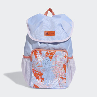 axDISN MNA BP Backpack